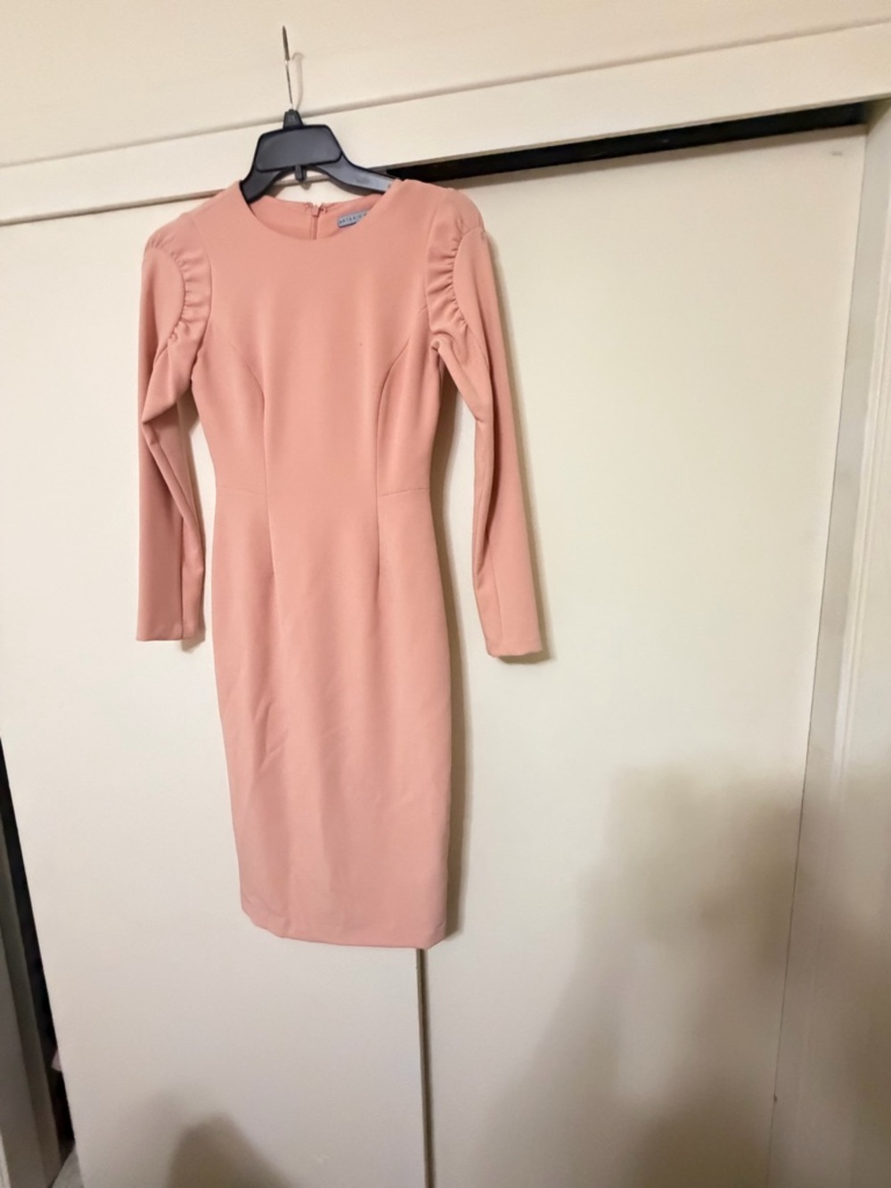 ANTONIO MELANI Dusty Rose Long-Sleeve Sheath Dress